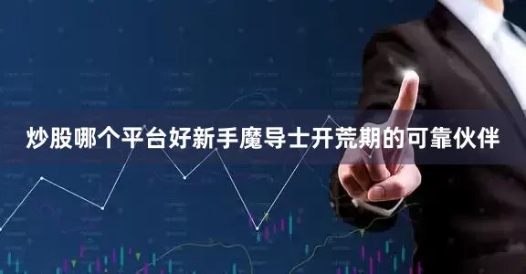 炒股哪个平台好新手魔导士开荒期的可靠伙伴