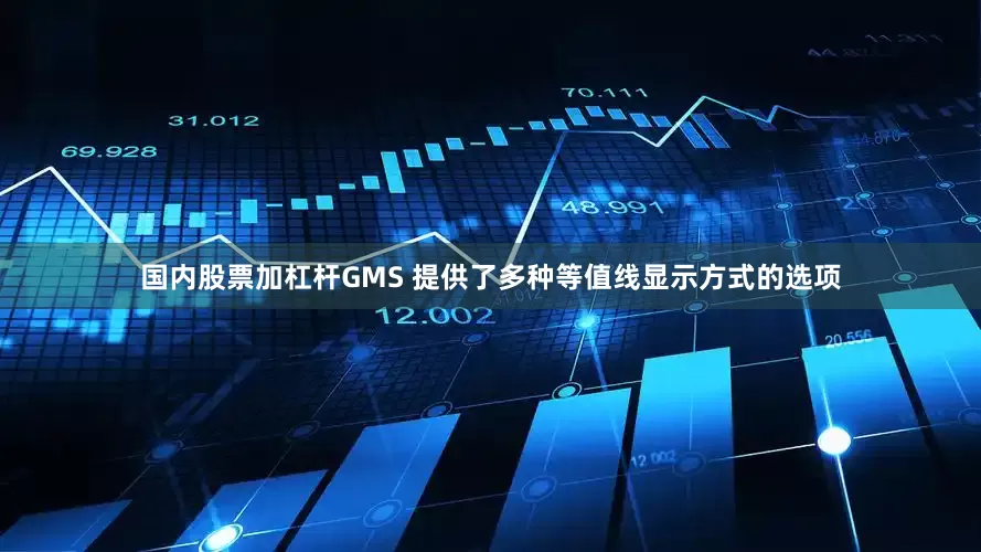 国内股票加杠杆GMS 提供了多种等值线显示方式的选项